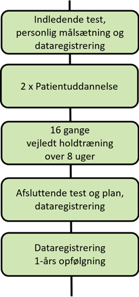 ryg gla:d rødekro fysioterapi